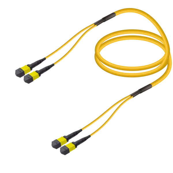 2xMTP-2xMTP Single-mode Breakout