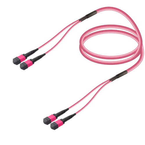 2xMTP to 2xMTP Multi-mode Breakout