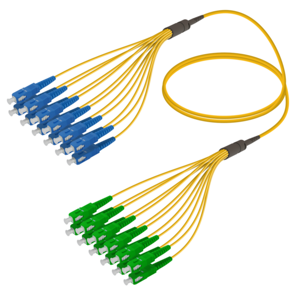 SC/UPC-SC/APC | 12 Fibers Fanout | Single Mode G657.A2 | 3.0/1.8mm